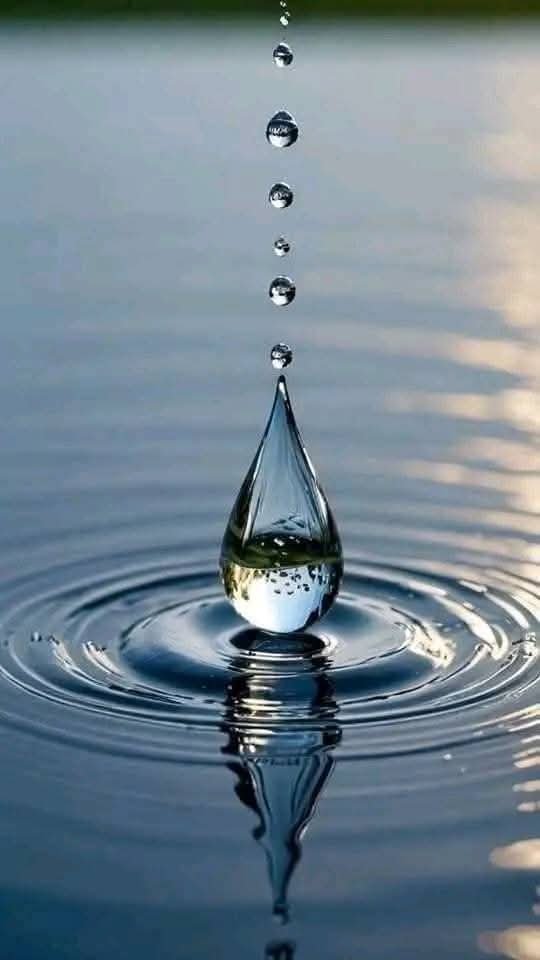 Water Drop